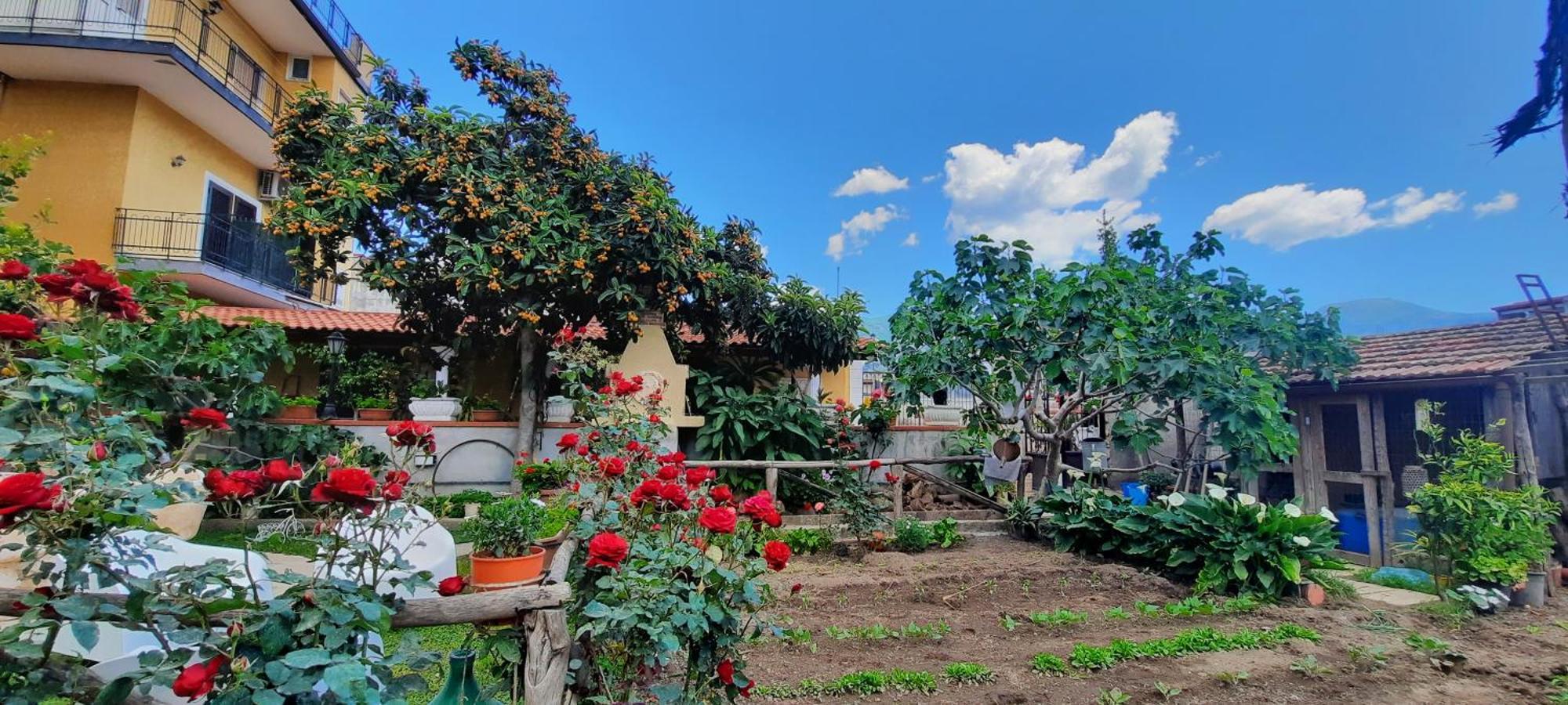 Santa Maria La Carità Buonocore Rooms المظهر الخارجي الصورة
